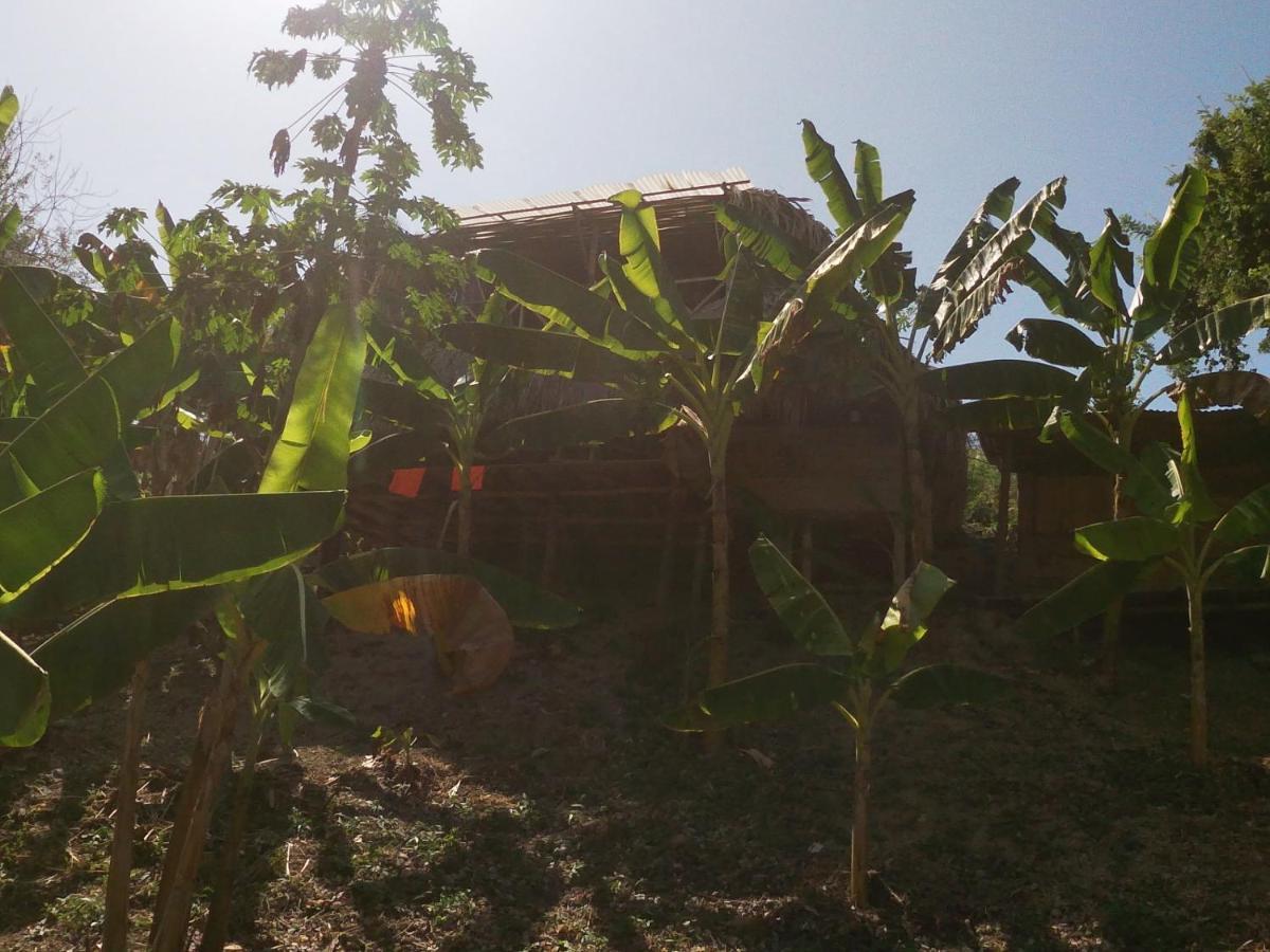 Private Beach House Maloka Surf Puerto Limon Εξωτερικό φωτογραφία